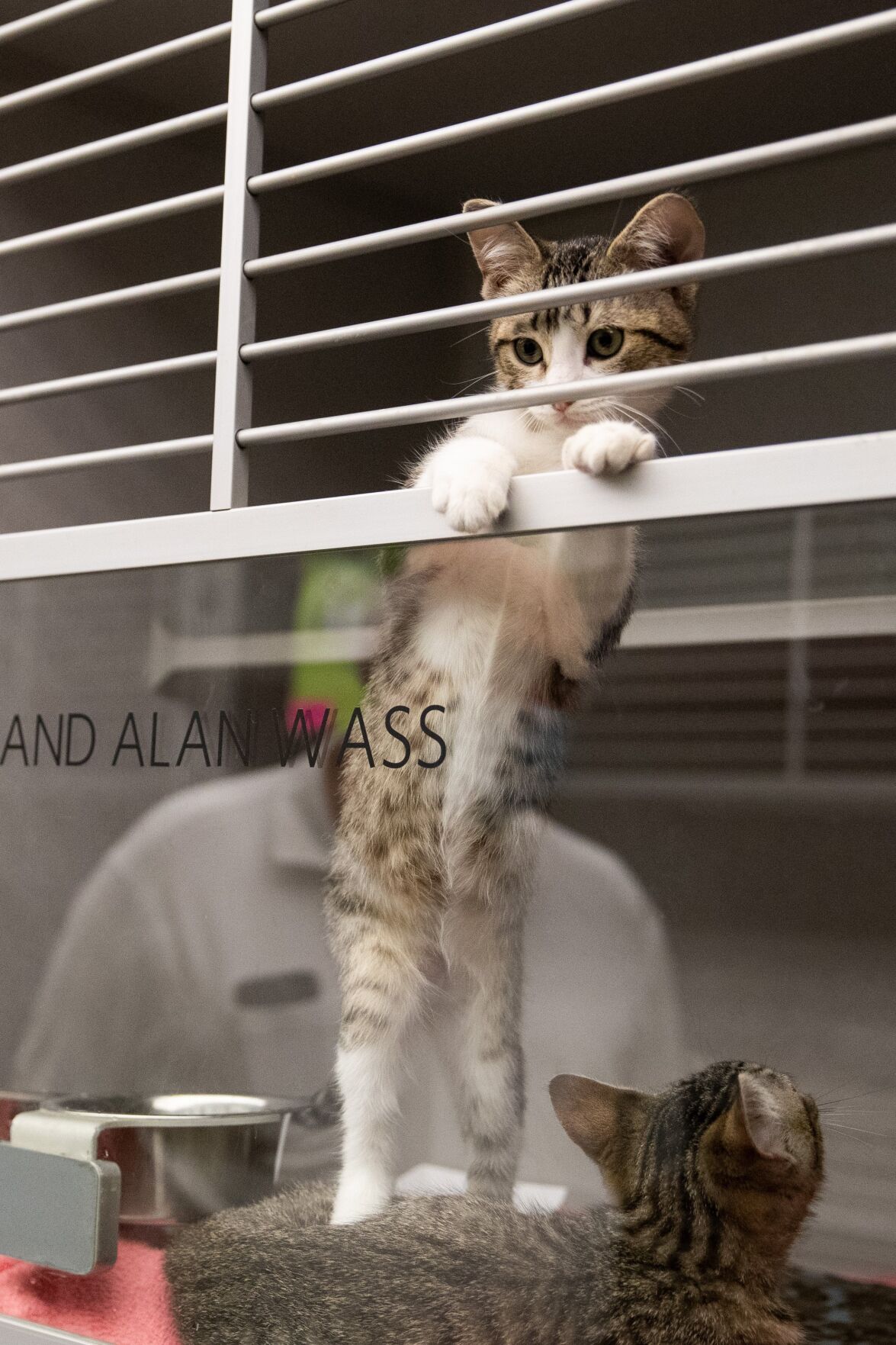 070221-owh-new-humanesociety-ar06